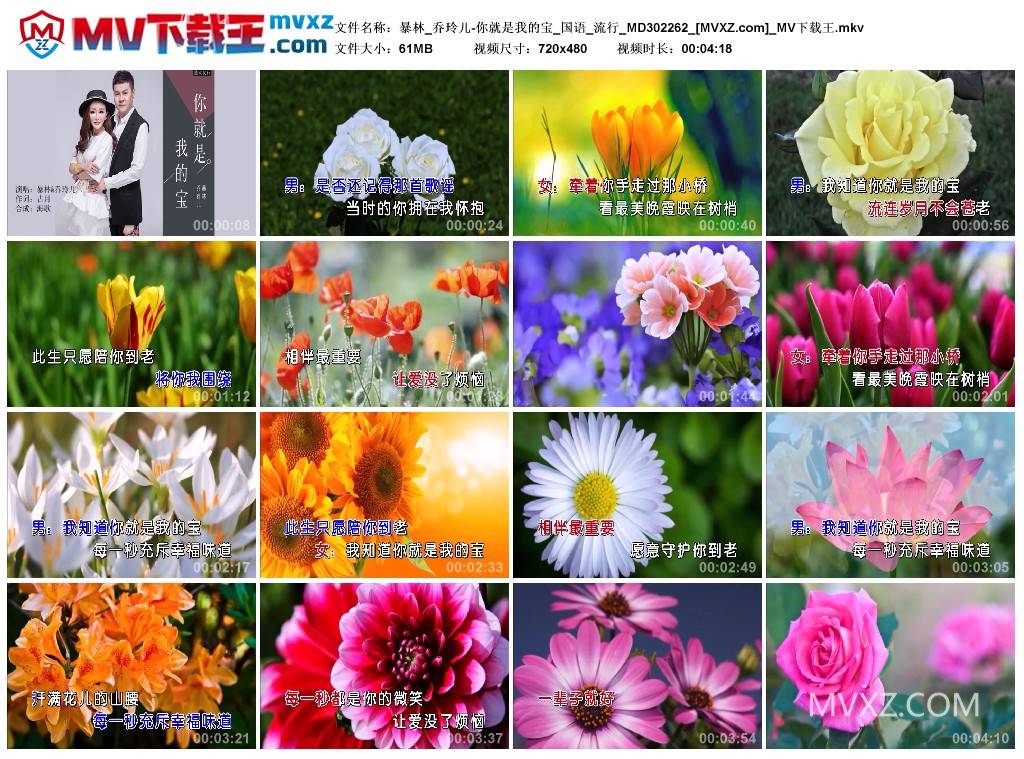暴林_乔玲儿-你就是我的宝_国语_流行_MD302262